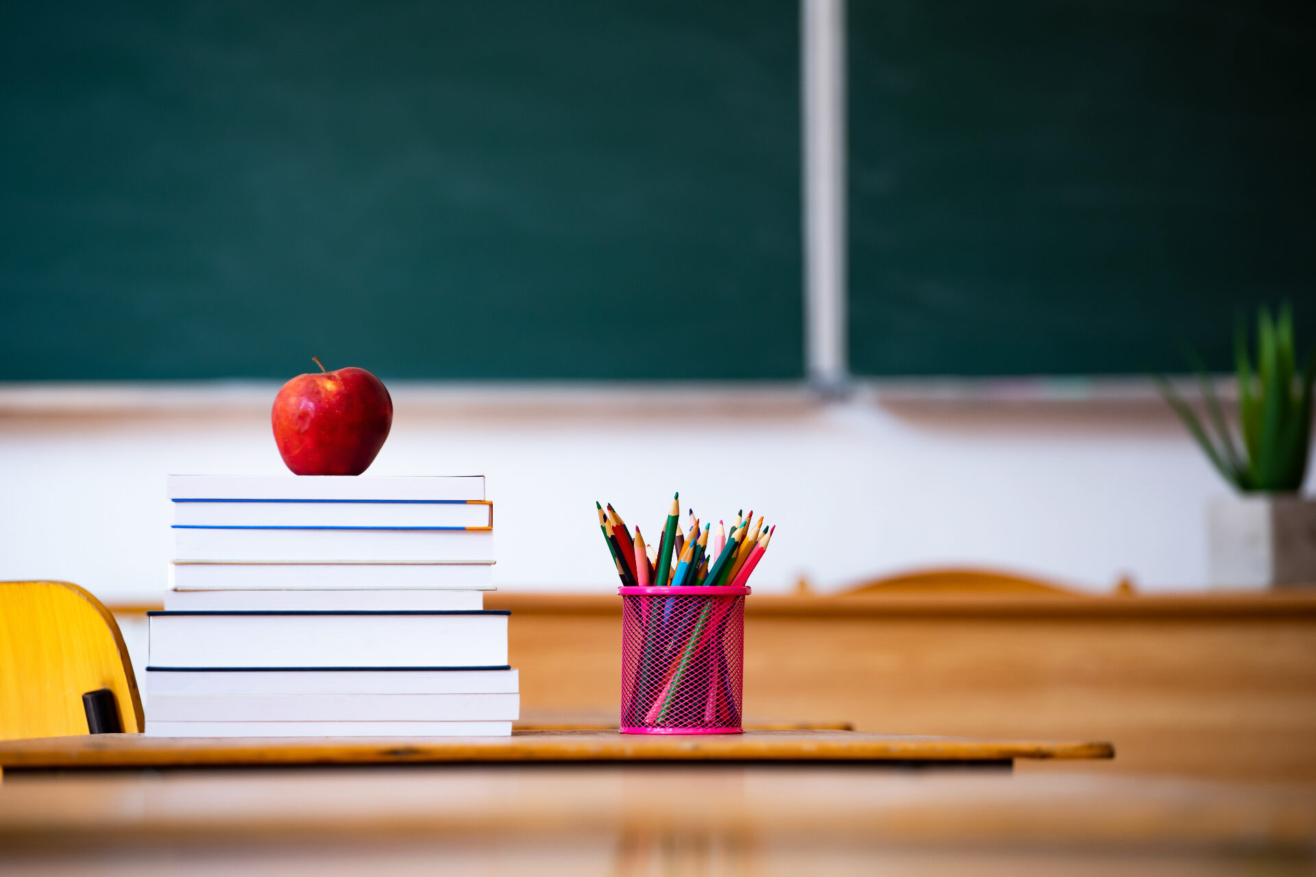 BX:EDUCATION